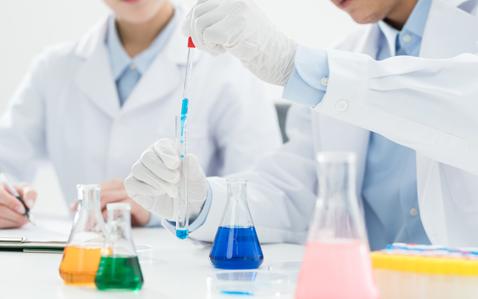 新葡的京集团350vip8888(中国)有限公司官网