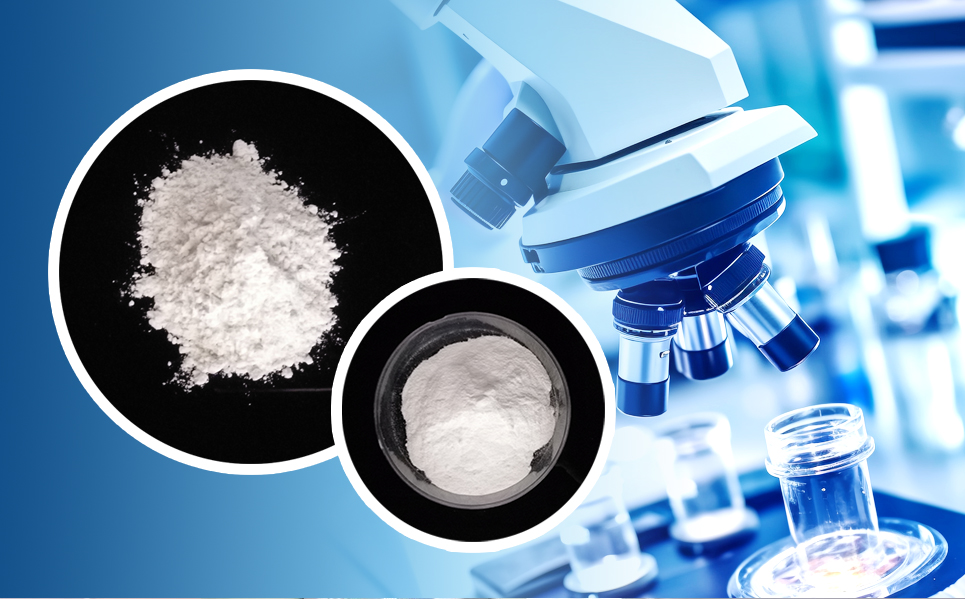 新葡的京集团350vip8888(中国)有限公司官网